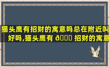猫头鹰有招财的寓意吗总在附近叫好吗,猫头鹰有 🐎 招财的寓意吗总在附近叫好吗为什么